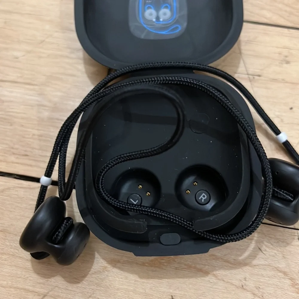 Google Earbud Headphones